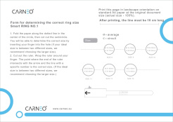 Carneo RING No.1 - Größe 11