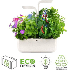 Véritable CLASSIC - weiß + 4 Kräuterfüllungen