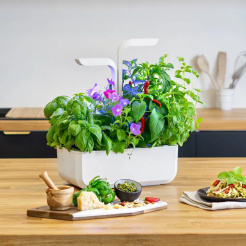 Véritable CLASSIC - weiß + 4 Kräuterfüllungen