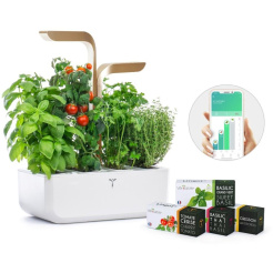 Véritable CONNECT - weiß/champagner + 4 Kräuternachfüllungen