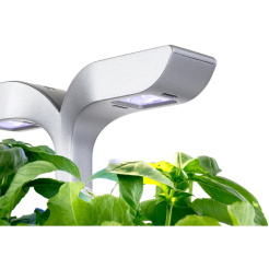 Véritable Exky CLASSIC - weiß + 2 Kräuterfüllungen