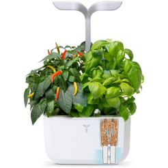 Véritable Exky SMART - weiß + 2 Kräuterminen