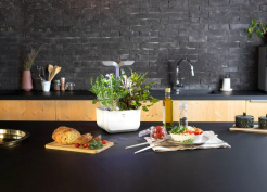 Véritable Exky SMART - weiß + 2 Kräuterminen