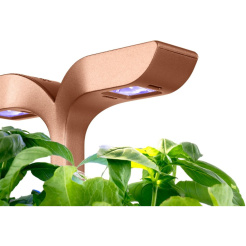 Véritable Exky SMART - schwarz + 2 Kräuterminen