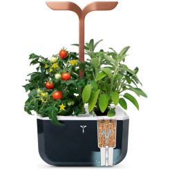 Véritable Exky SMART - schwarz + 2 Kräuterminen