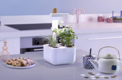 Véritable Botaneo + 2 Kräuterfüllungen