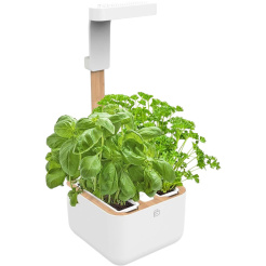  Véritable Botaneo + 2 Kräuterfüllungen 