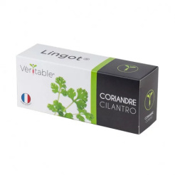 Lingot Koriander