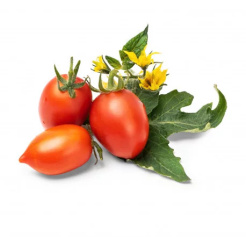 Véritable Lingot Rote Mini-Tomate