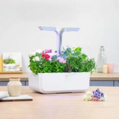 Unbeschreiblicher Lingot Flox