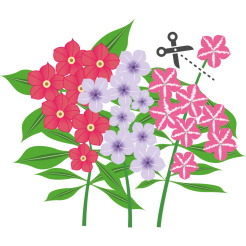 Unbeschreiblicher Lingot Flox