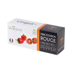Véritable Lingot Roter Mini-Paprika
