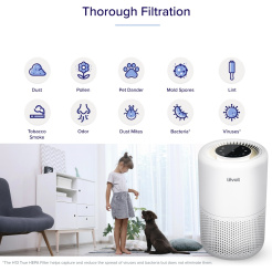 Levoit City 400S Smart