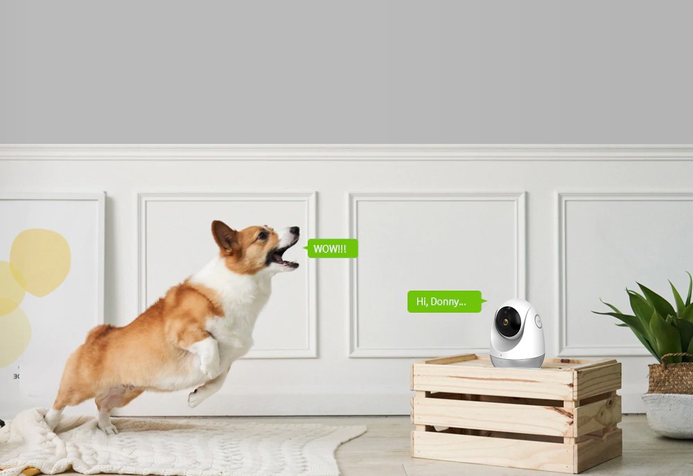 Kommunikation in beide Richtungen